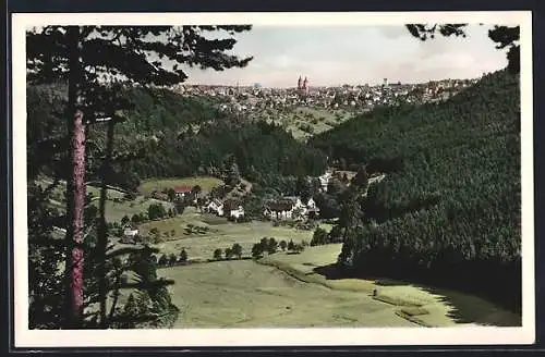 AK Freudenstadt, Panorama