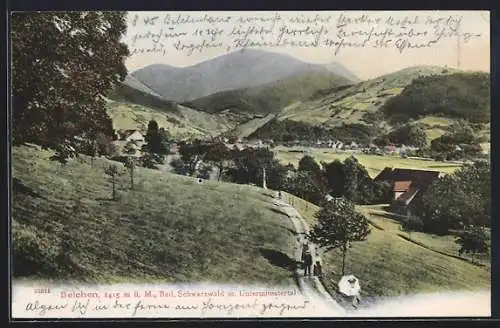 AK Belchen, Blick ins Untermünstertal