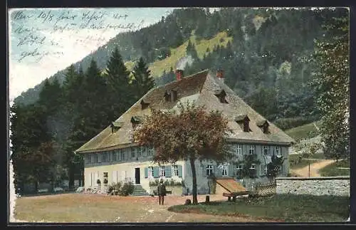 AK Breitnau, Ansicht vom Gasthaus Posthalde