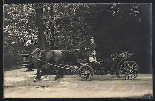 AK Elegante Pferdekutsche parkt am Waldrand