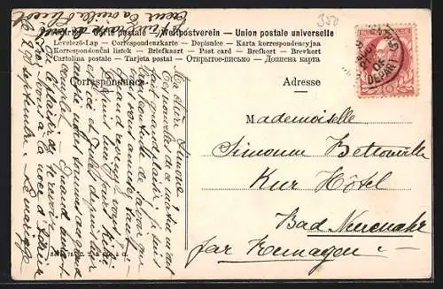 AK Bernersennenhund ruhig liegend