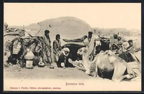 AK Camels and Bisciarins tents