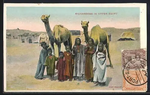 AK Bichareens in upper Egypt