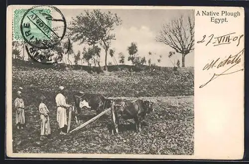 AK A Native plough in Egypt