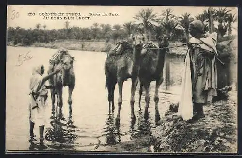 AK Dans le Sud, Au Bord d`Un Chott