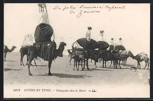 AK Palanquins dans le desert