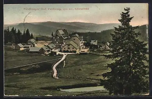 AK Feldberg /Schwarzwald, Hotel Feldbergerhof