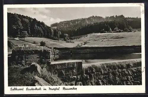AK Lautenbach im Murgtal, Stauweiher mit Umgebung