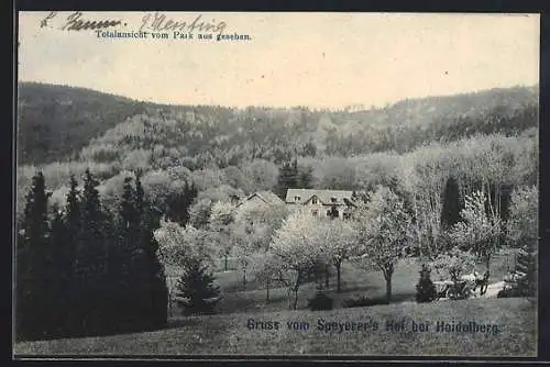 AK Heidelberg / Neckar, Speyerer`s Gasthof, Ansicht vom Park aus