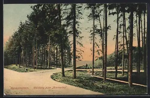 AK Kaiserslautern, Waldweg zum Bremerhof