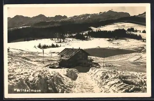 AK Winkelmoos, Ortsansicht im Schnee