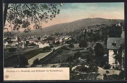 AK Seeheim a. d. Bergstrasse, Ansicht vom Waldrand des Tannenberges