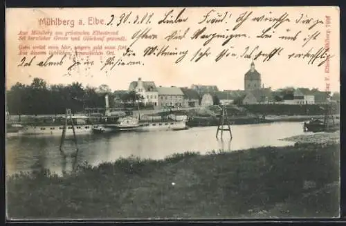 AK Mühlberg a. Elbe, Strand der Elbe