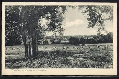 AK Trossin, Ansicht von Meltitz aus