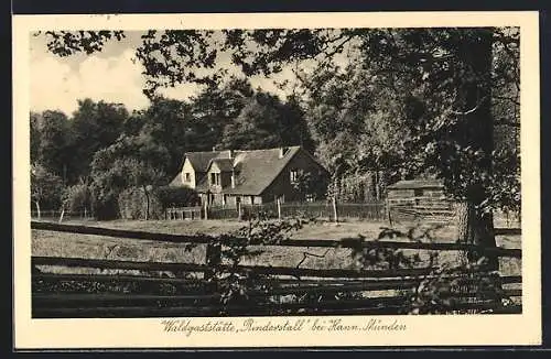 AK Hann. Münden, Gasthaus Rinderstall, Aussenansicht