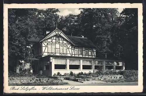 AK Bad Salzuflen, Waldrestaurant Loose, Aussenansicht