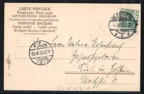 AK Affe mit Katzen bei der Sortierung von Mäusen, vermenschlichte Tiere