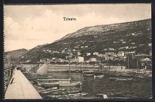 AK Trieste, Panorama