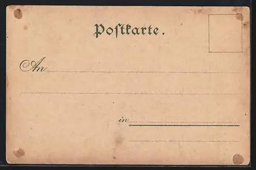Lithographie Oldenburg / O., Grossherzogl. Palais v. Augusteum, Rathaus und Marktplatz, Lange Strasse, Gartenstrasse