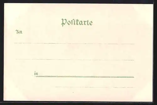 Lithographie Oldenburg / O., Schloss, Rathaus, Strasse am Grau