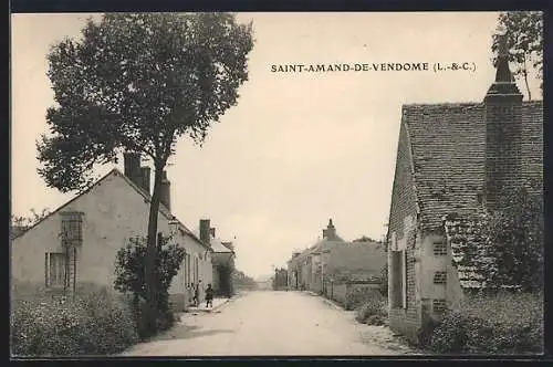 AK Saint-Amand-de-Vendôme, Rue principale avec maisons anciennes et arbres