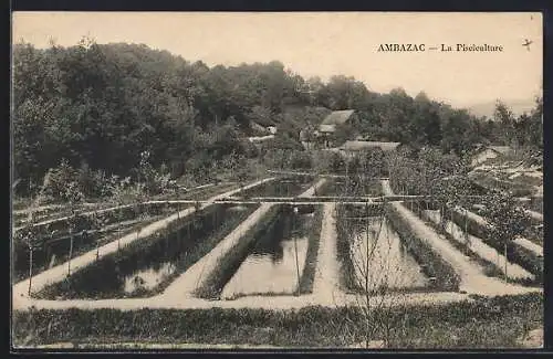 AK Ambazac, La Pisciculture