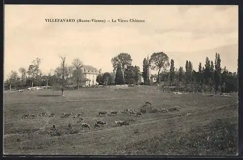 AK Villefavard, Le Vieux Château