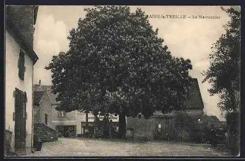 AK Clairé-la-Treille, Le Marronnier majestueux au centre du village