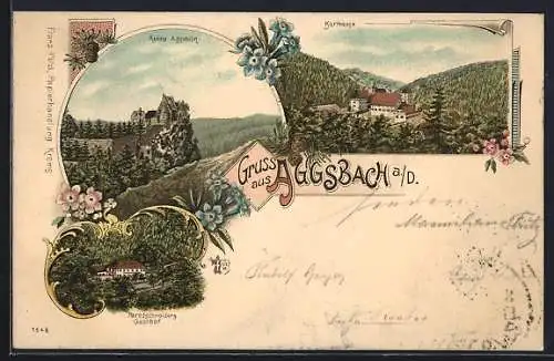 Lithographie Aggsbach, Karthause, Ruine Aggstein, Paredschneiders Gasthof