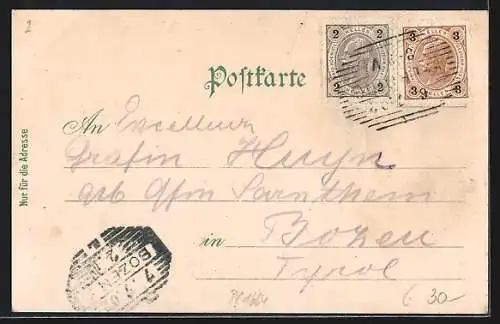 Lithographie Eferding /Ober-Oesterreich, Ruine Schaunburg, Starhemberggasse, Hauptplatz mit Denkmal