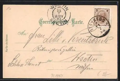 Lithographie Steyregg /O. Ö., Gschwandtner`s Gasthaus, Schloss, Teilansicht