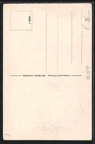 Künstler-AK Eferding, 700 Jahrfeier 1925, Landwirtschaftliche u. Gewerbliche Ausstellung Tierschau Volksfest