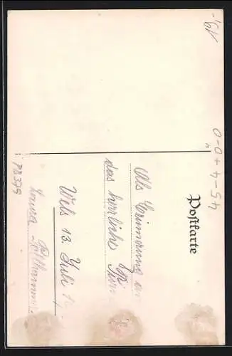 Künstler-AK Wels, 2. Kreisturnfest 1924, Ortspartie & Adler mit Schwert und Wappen, Deutscher Turnerbund 1919