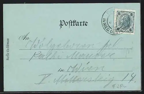 Mondschein-Lithographie Piesting /N. Ö., Gasthaus zum gold. Löwen, Fleischhauerei, Rathaus, Ortsansicht mit Hohe Wand
