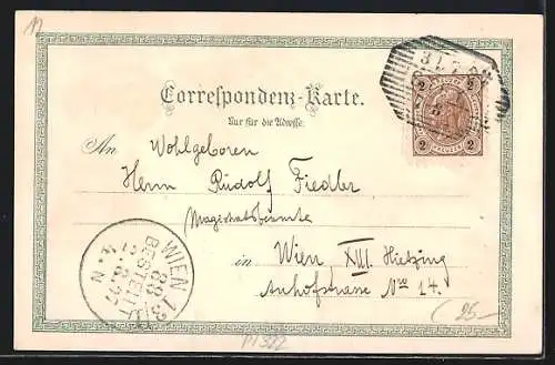 Lithographie Steyr, Villa Werndl, Christkindl, Werndl-Denkmal