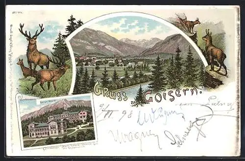 Lithographie Goisern, Panorama mit Bergen, Hirsch und Gemse, Erzherzogin Marie Valerie-Schwefel Bad u. Restauration