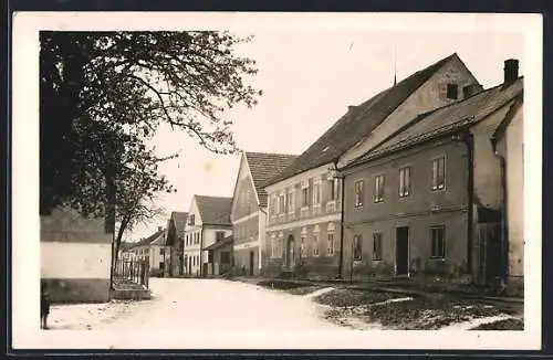 AK Riedau, Strassenpartie unter einem Baum