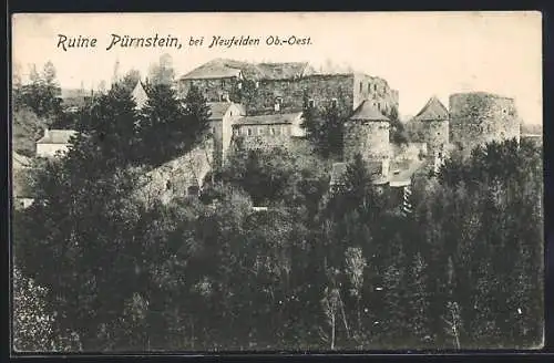 AK Neufelden /Ob.-Oest., Ruine Pürnstein