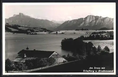 AK Zell am Moos, Am Irrsee mit Schafberg u. Drachenwand