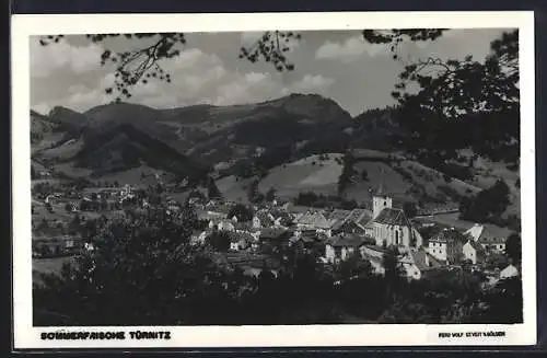 AK Türnitz, Gesamtansicht von einen Berg aus