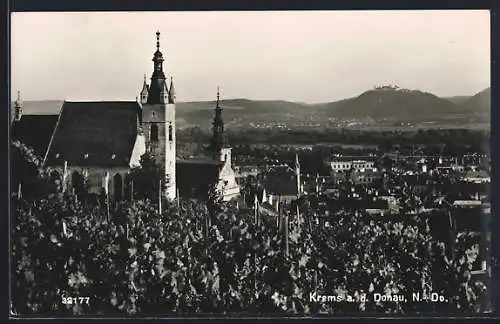 AK Krems a. d. Donau, Gesamtansicht von einen Weinberg aus