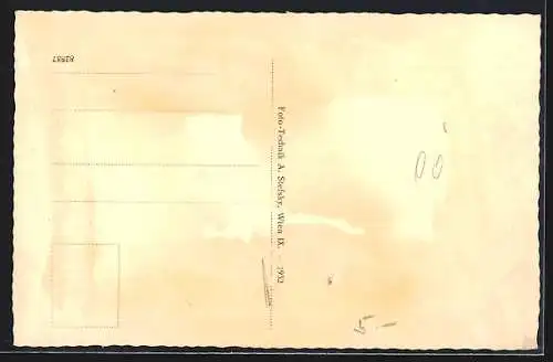 AK Zell a. d. Pram, Ortsansicht von einen Berg aus