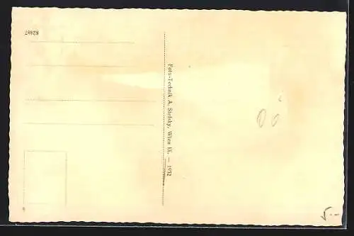 AK Zell a. d. Pram, Ortsansicht