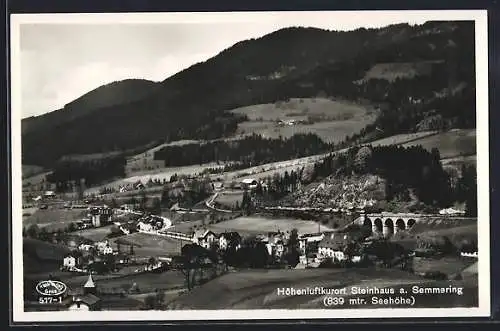 AK Steinhaus a. Semmering, Totalansicht