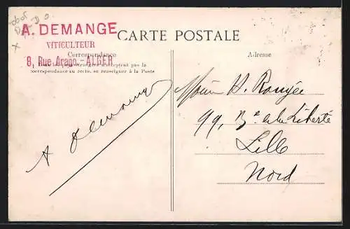 AK Algerien, Beduinen mit Kamelen