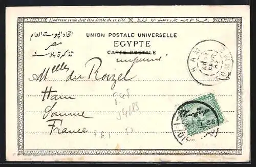 AK Chameaux de parade