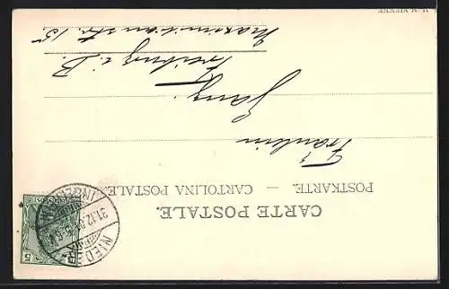 AK Schwein mit Ferkeln wird gefüttert