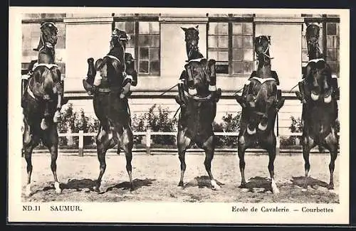 AK Ecole de Cavalerie, Courbettes