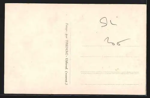 AK Zwei Pferde ziehen einen Pflug