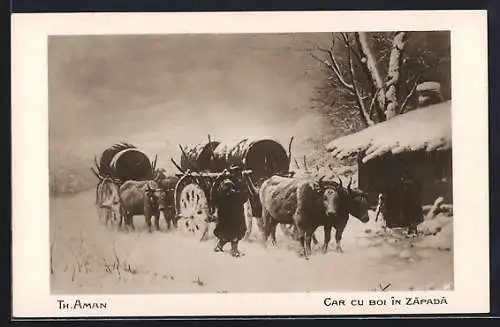 AK Ochsengespanne fahren durch den Schnee